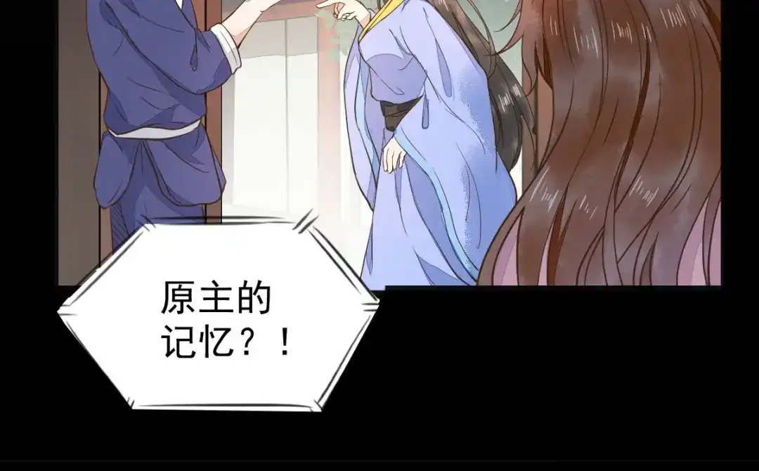 《杀手王妃不好惹》06-原主出现 第122页