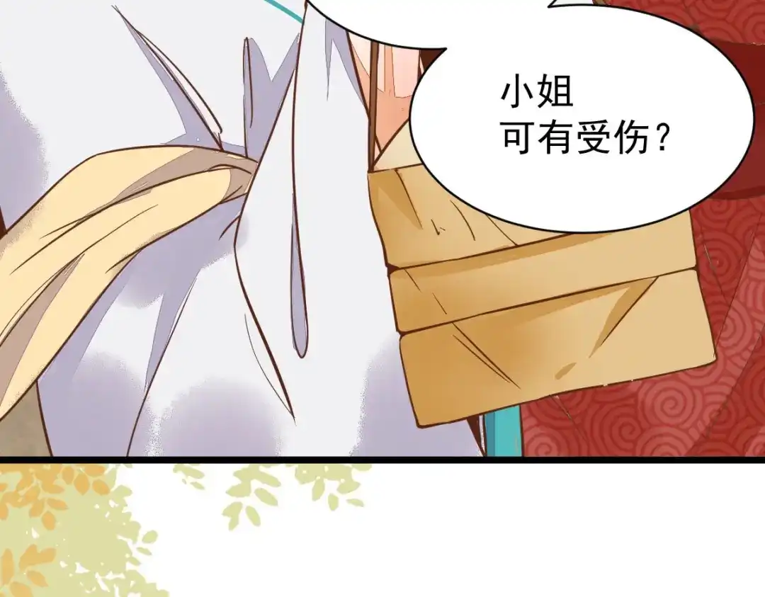 《杀手王妃不好惹》06-原主出现 第49页