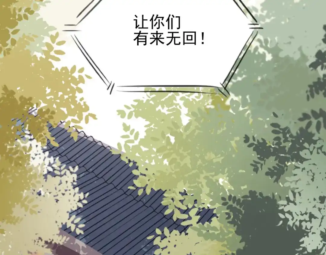 《杀手王妃不好惹》06-原主出现 第69页