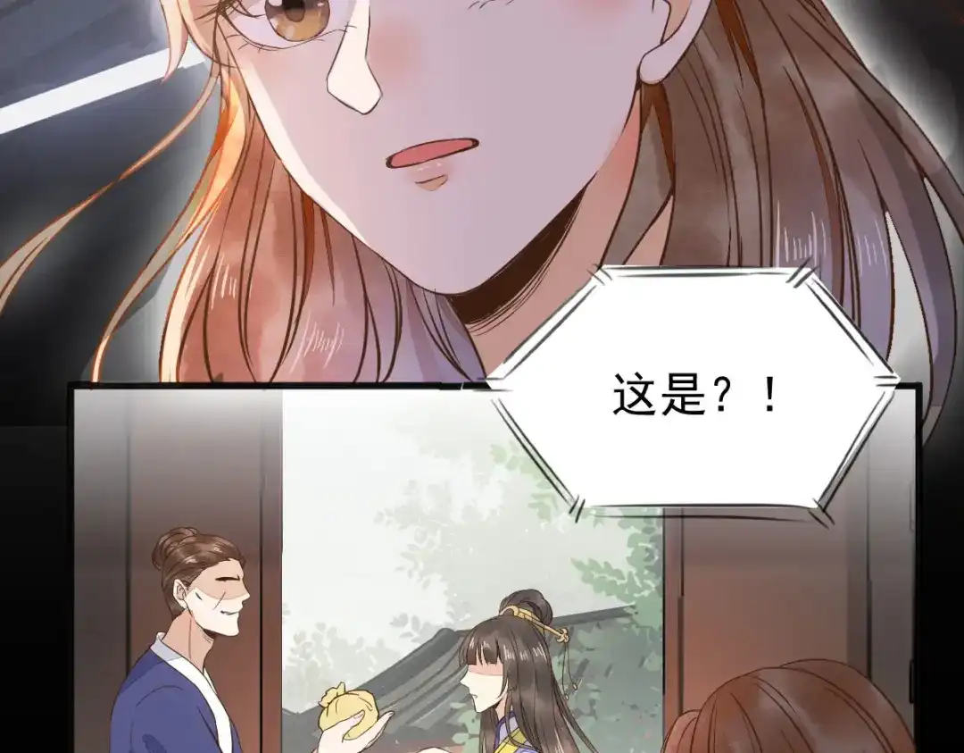 《杀手王妃不好惹》06-原主出现 第121页