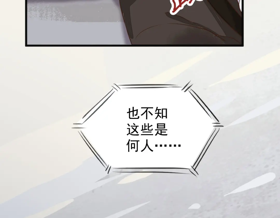 《杀手王妃不好惹》06-原主出现 第117页