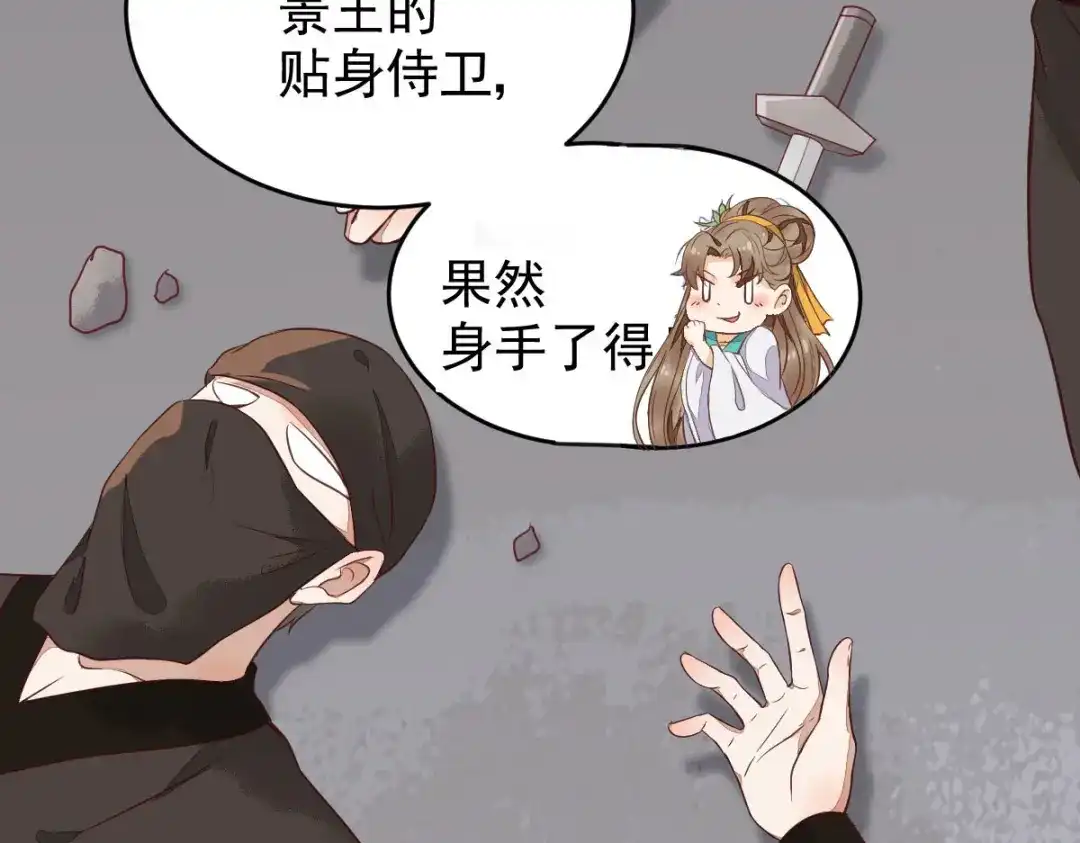 《杀手王妃不好惹》06-原主出现 第108页