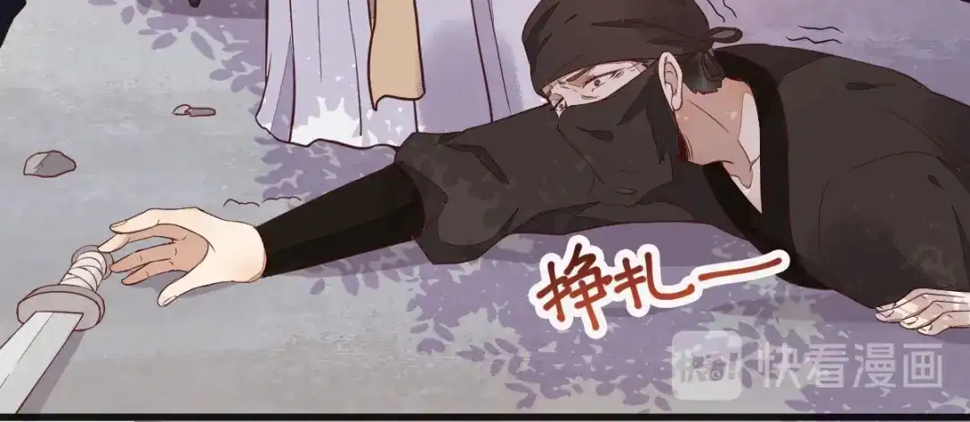 《杀手王妃不好惹》06-原主出现 第112页