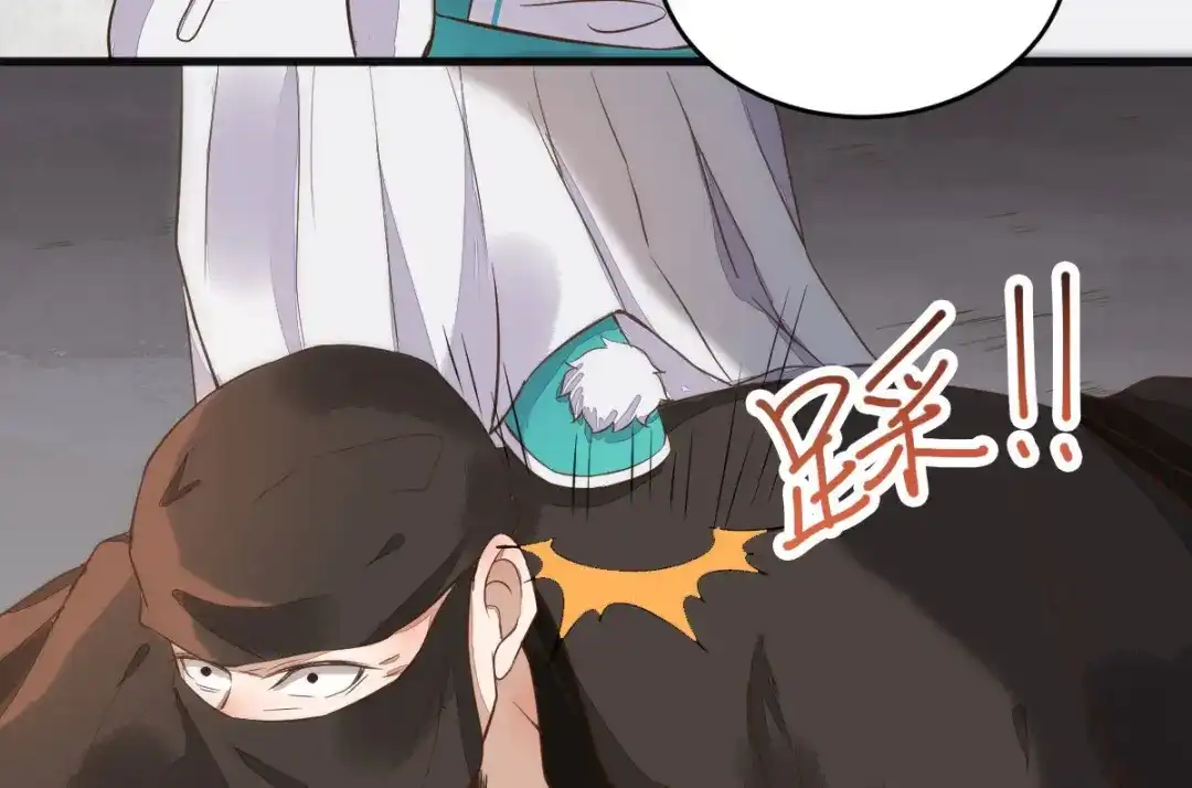 《杀手王妃不好惹》06-原主出现 第115页