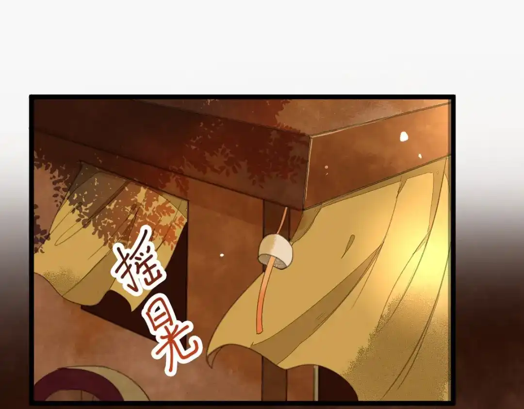《杀手王妃不好惹》06-原主出现 第6页