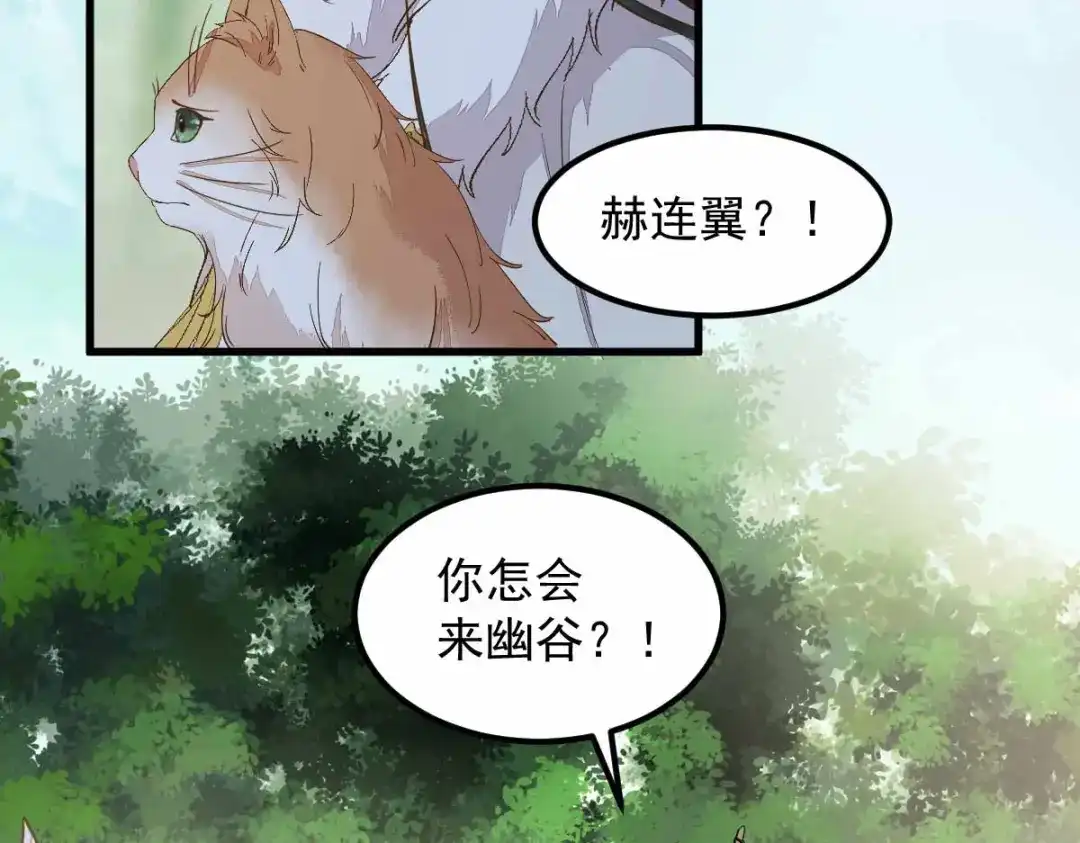 《杀手王妃不好惹》59-开启现代篇 第89页