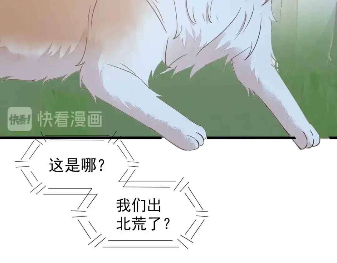 《杀手王妃不好惹》59-开启现代篇 第76页