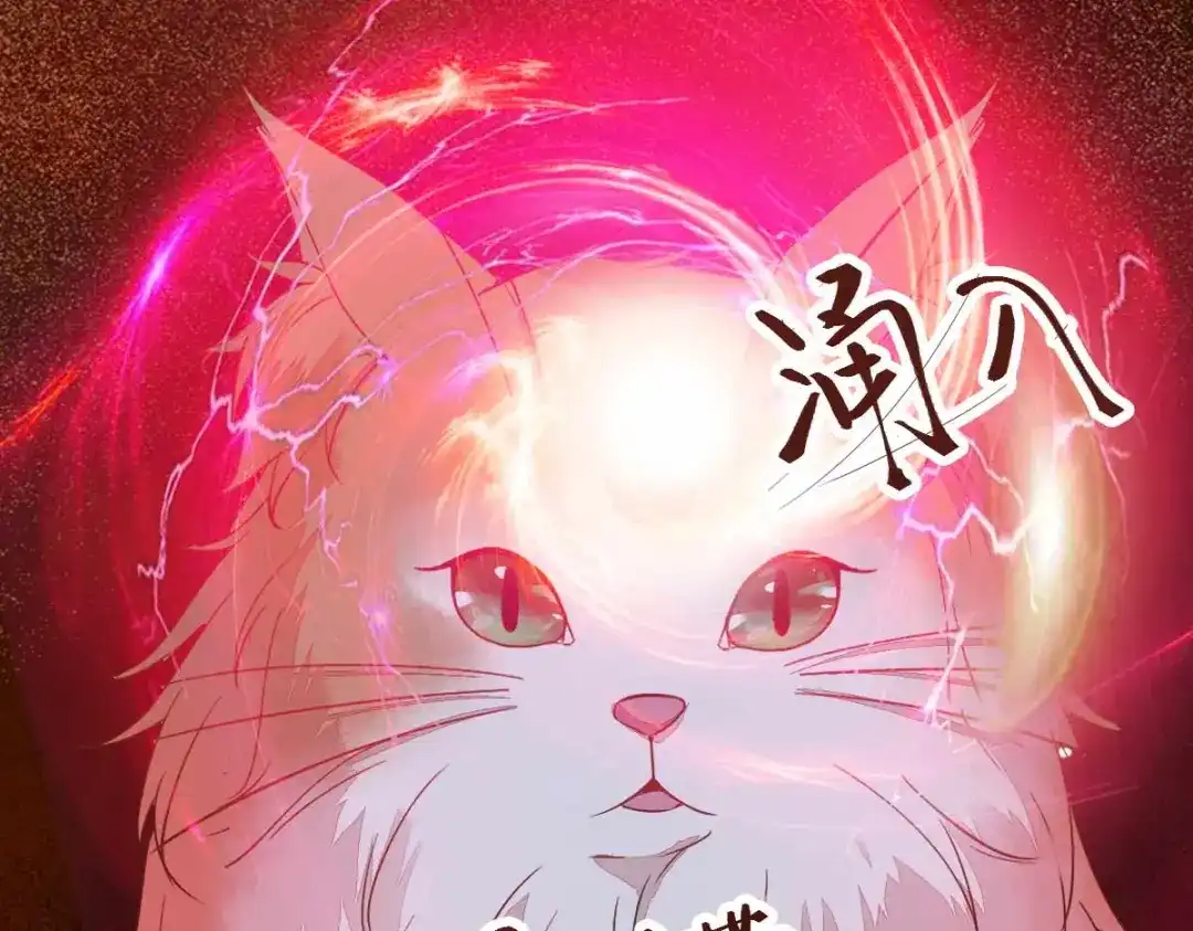 《杀手王妃不好惹》59-开启现代篇 第12页