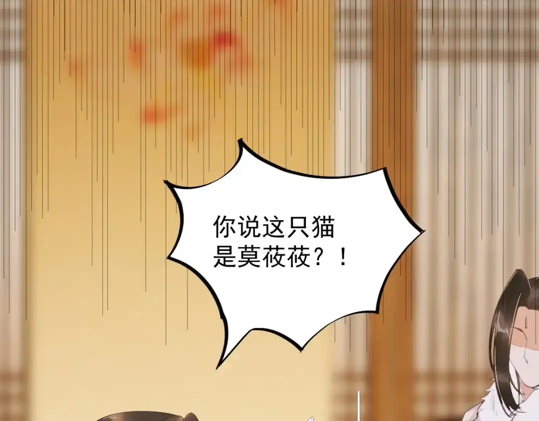 《杀手王妃不好惹》61-提线木偶 第84页