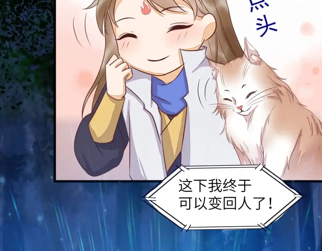 《杀手王妃不好惹》63-莫喵终于要变回人形了 第85页