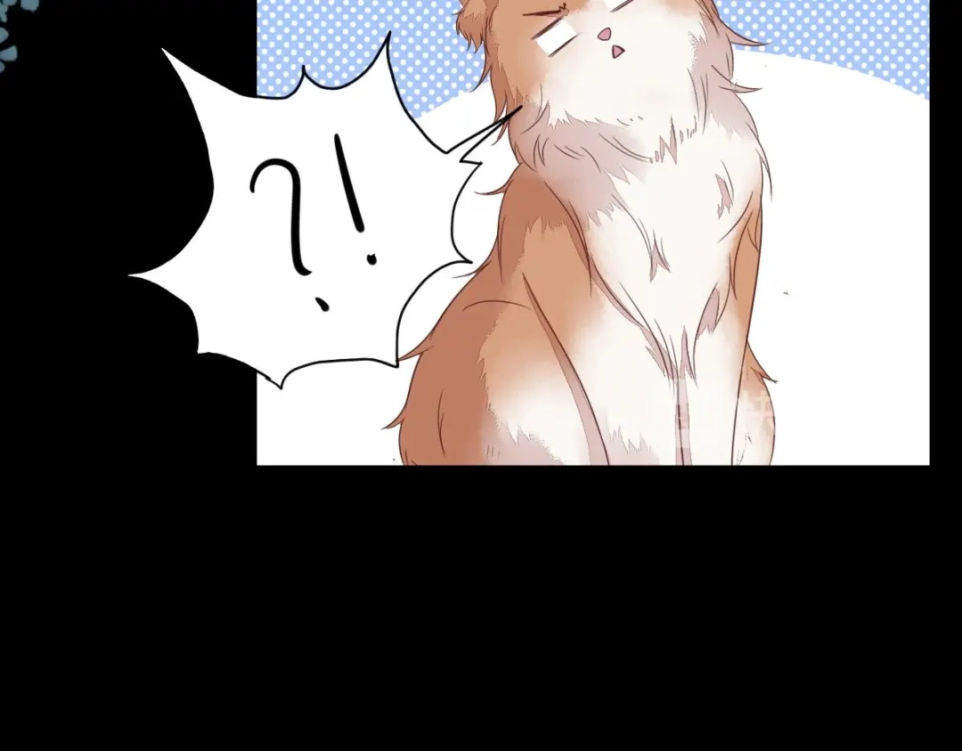 《杀手王妃不好惹》63-莫喵终于要变回人形了 第17页