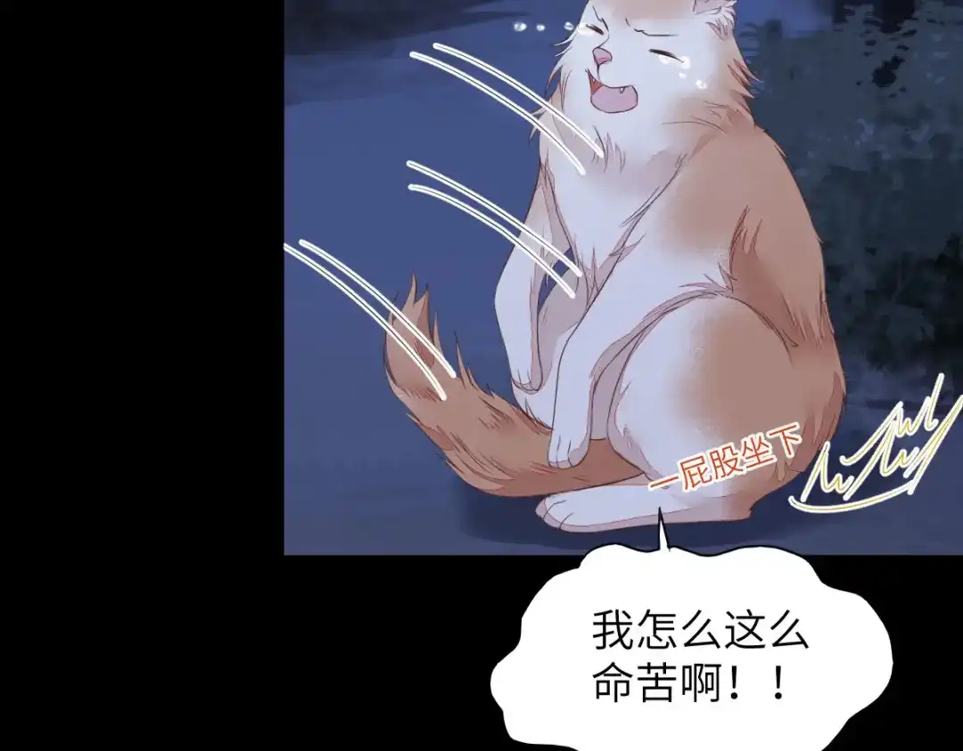 《杀手王妃不好惹》64-刚醒来就要拯救世界？ 第18页