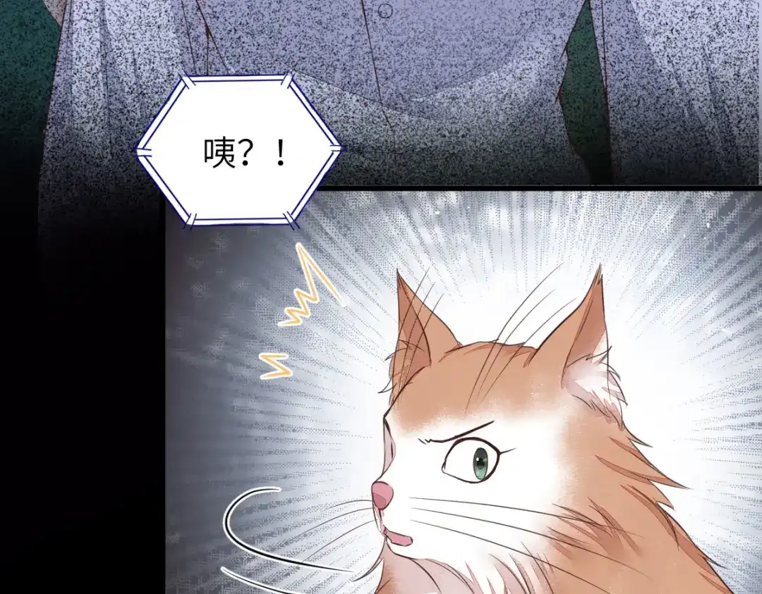 《杀手王妃不好惹》64-刚醒来就要拯救世界？ 第48页