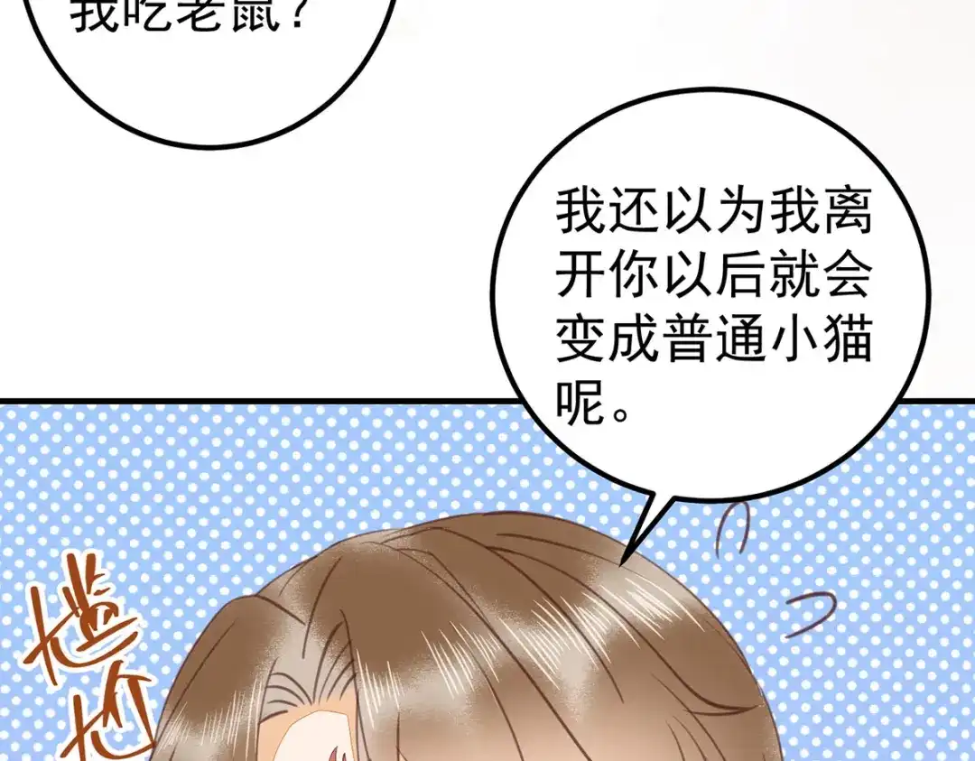 《杀手王妃不好惹》65-真假皇后 第92页
