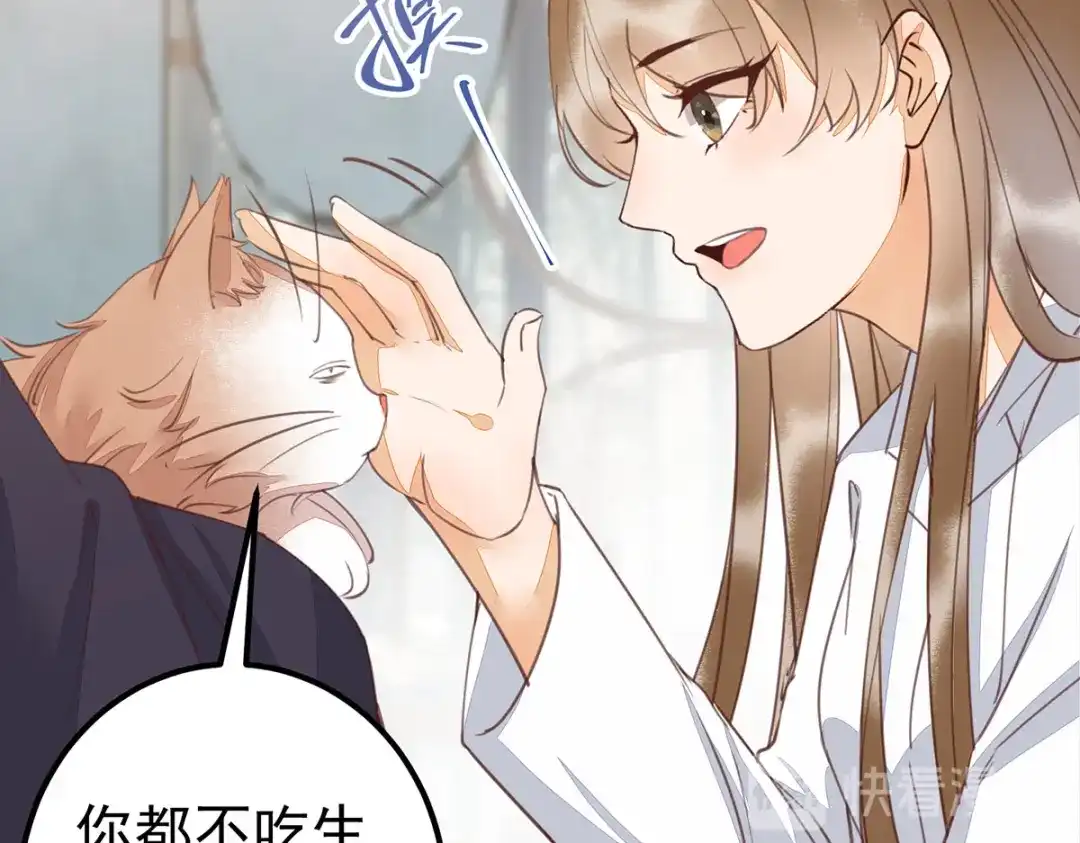《杀手王妃不好惹》65-真假皇后 第90页