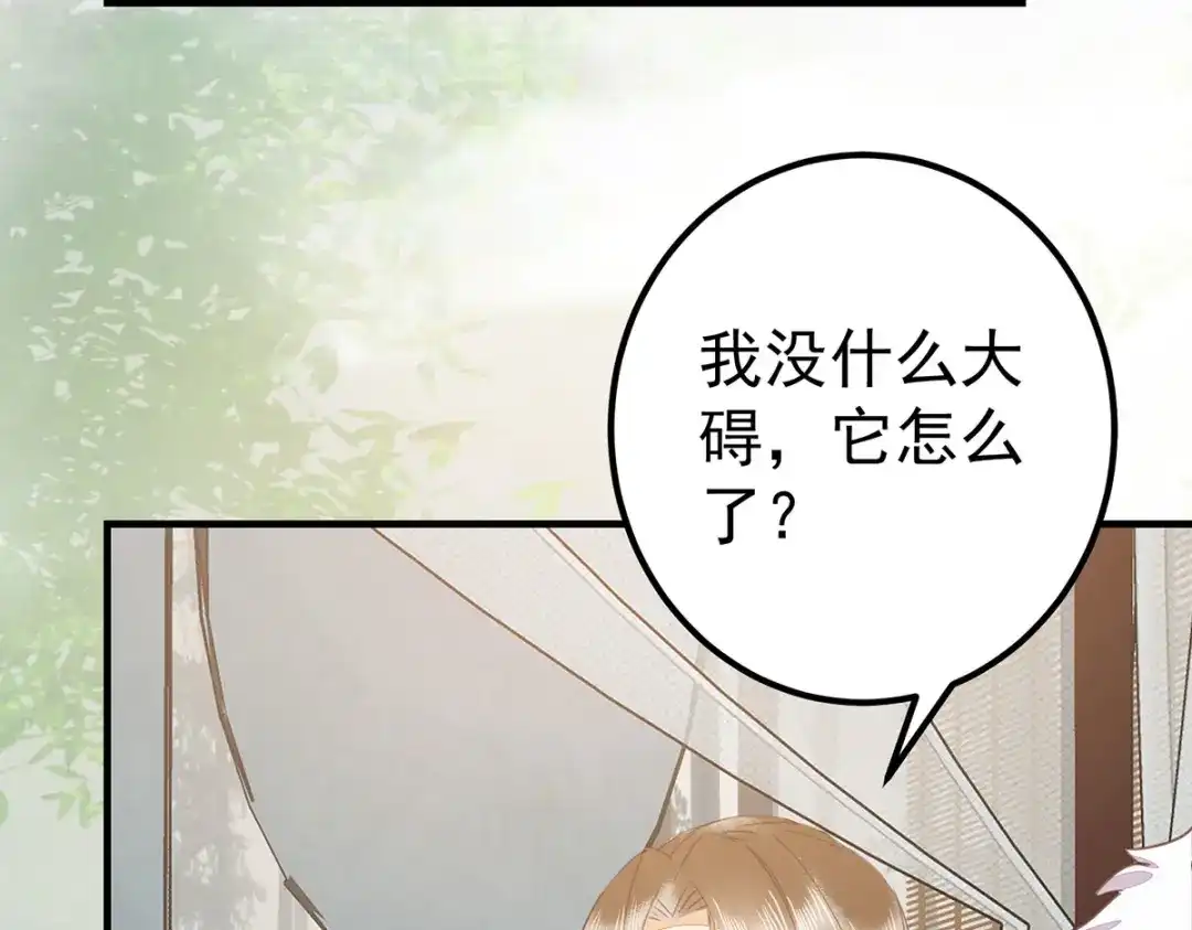 《杀手王妃不好惹》65-真假皇后 第77页
