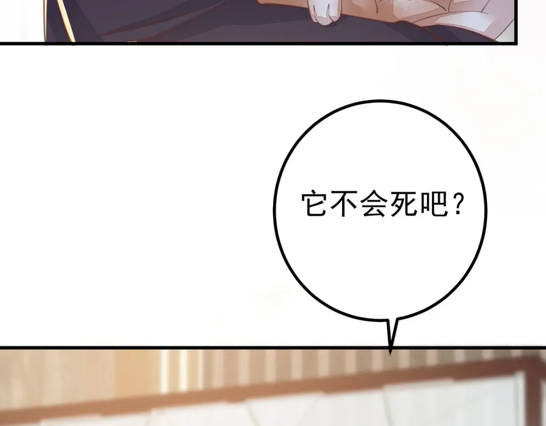 《杀手王妃不好惹》65-真假皇后 第83页