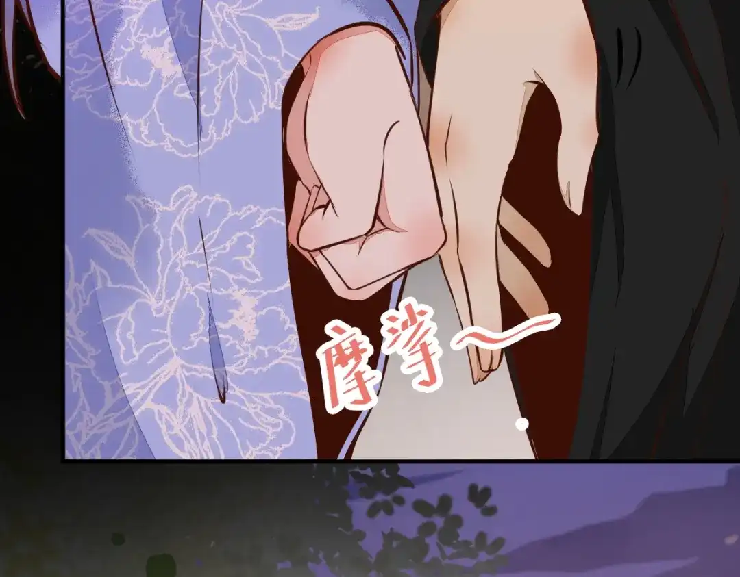 《杀手王妃不好惹》07-宫宴 第104页