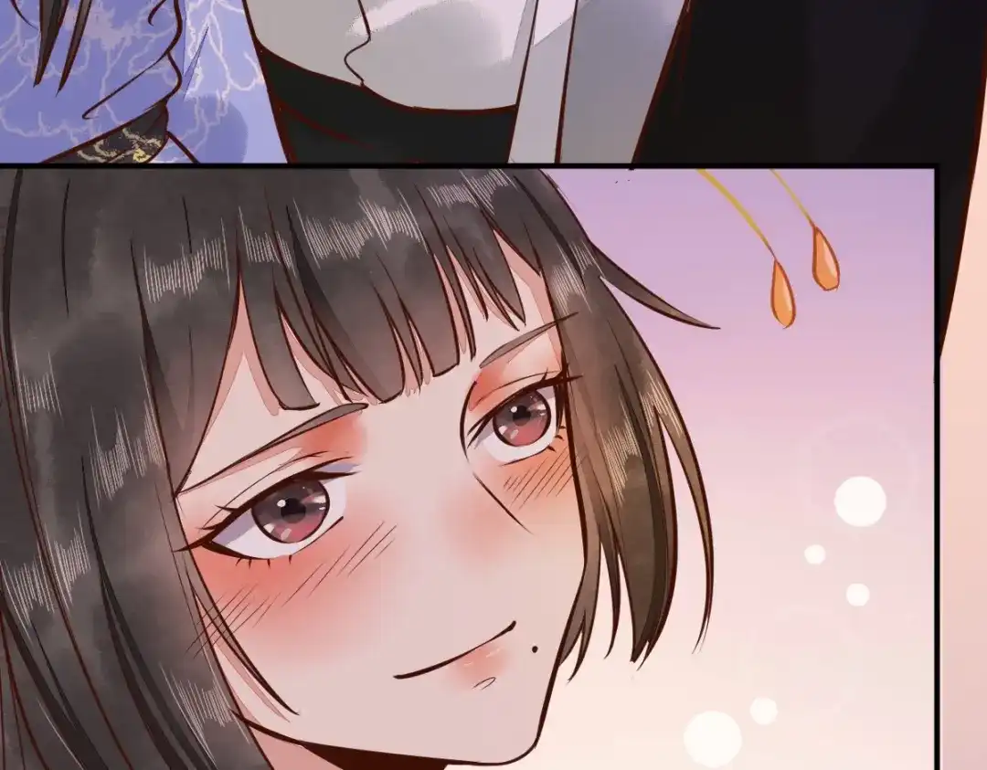 《杀手王妃不好惹》07-宫宴 第107页
