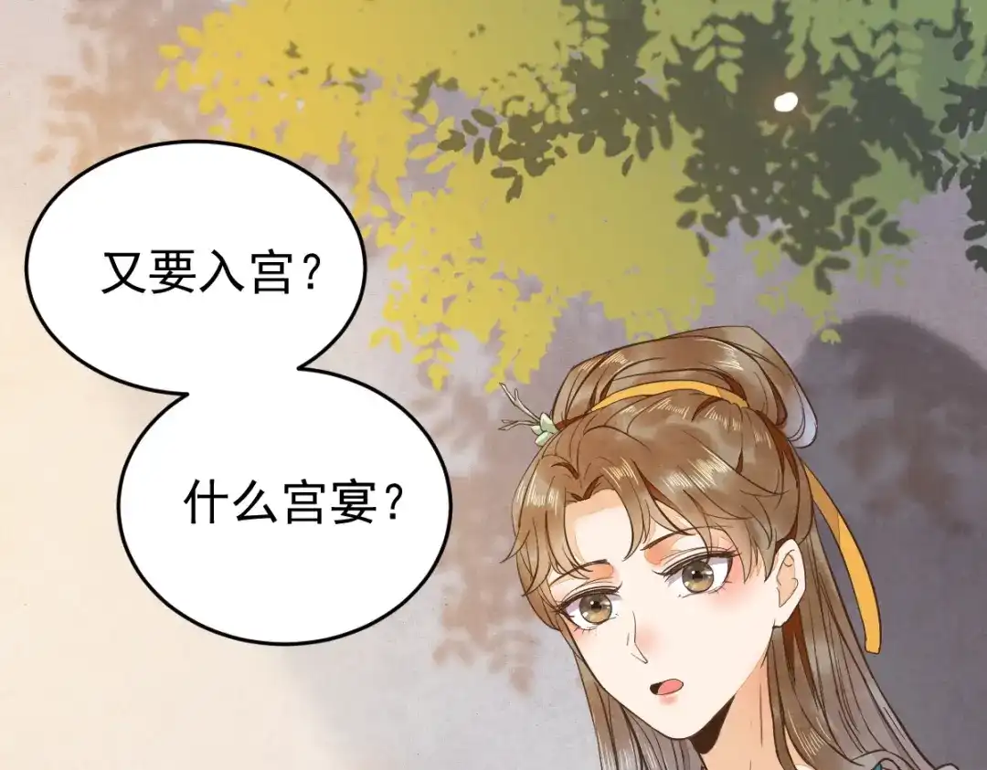 《杀手王妃不好惹》07-宫宴 第29页