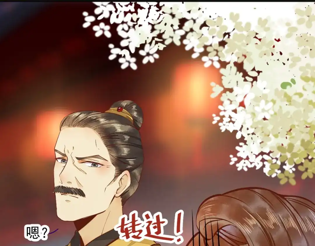 《杀手王妃不好惹》07-宫宴 第74页