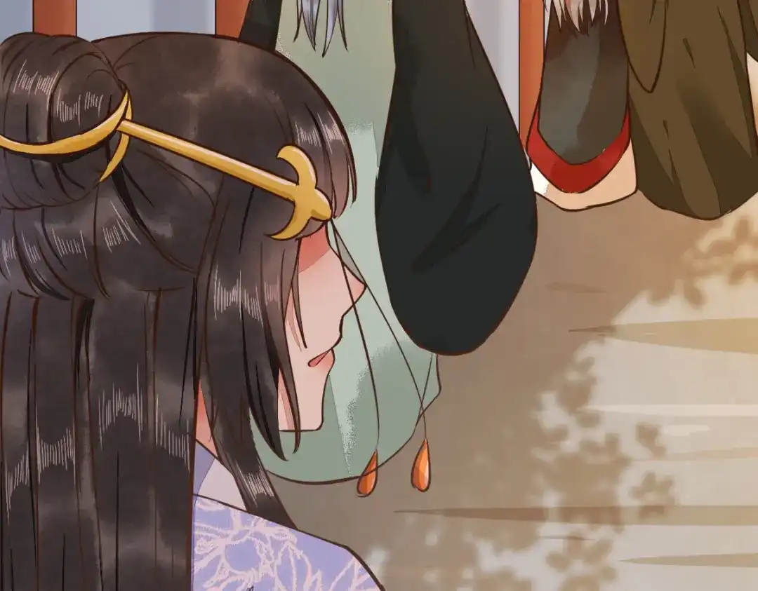 《杀手王妃不好惹》07-宫宴 第111页