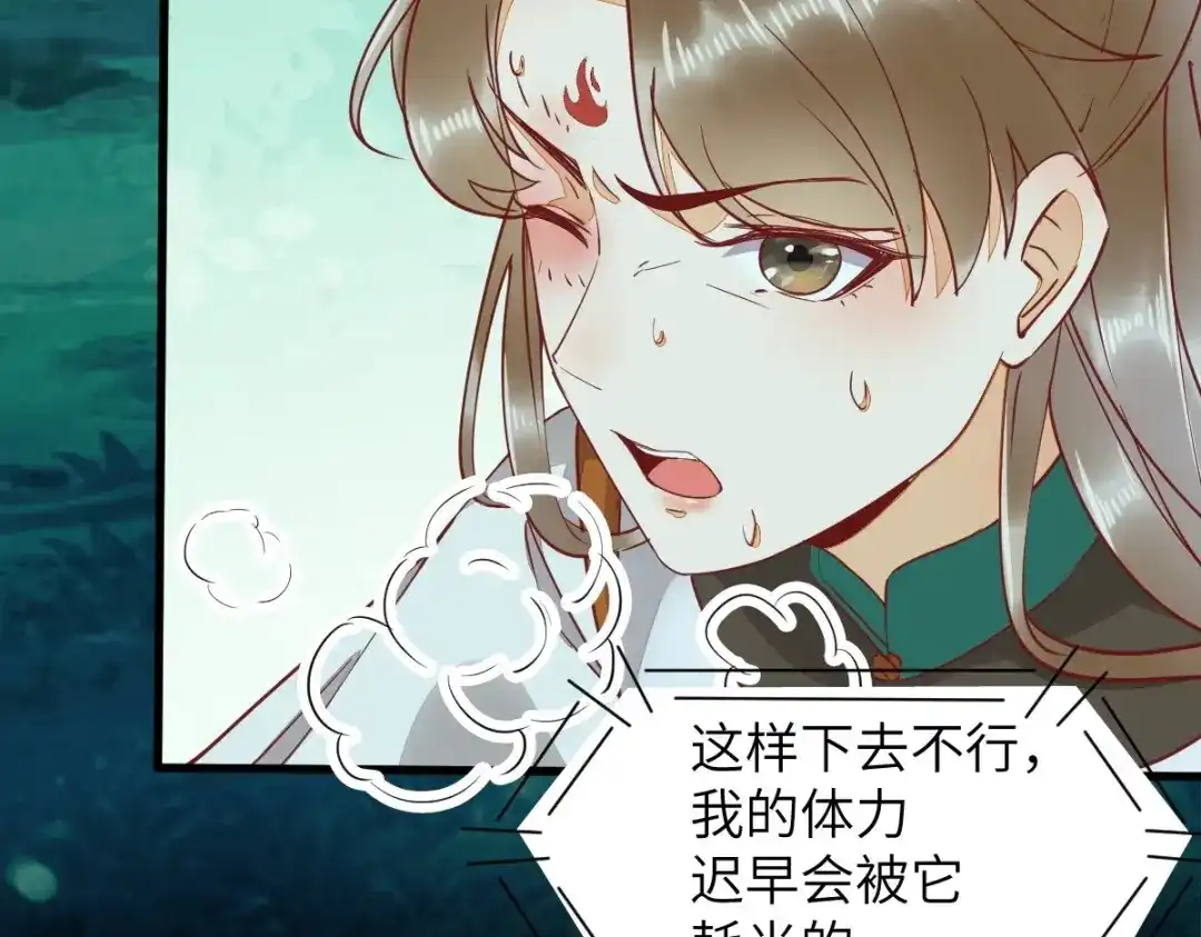 《杀手王妃不好惹》69-被萌兔叽KO 第47页