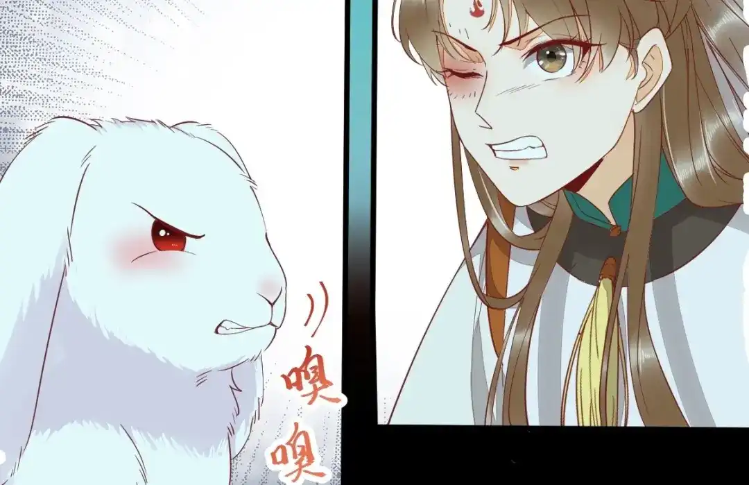 《杀手王妃不好惹》69-被萌兔叽KO 第34页