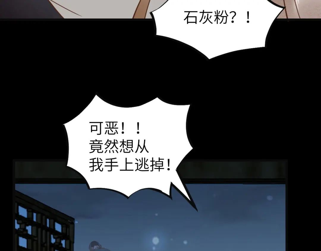 《杀手王妃不好惹》71-遇刺 第74页