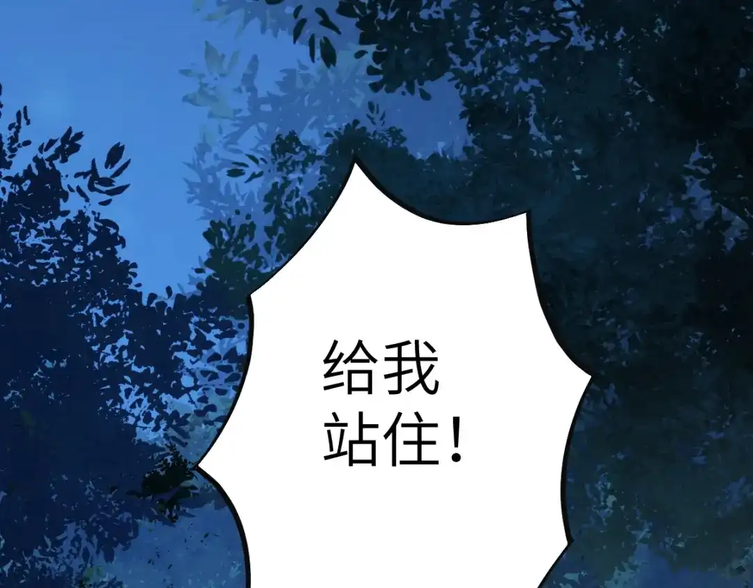 《杀手王妃不好惹》71-遇刺 第85页