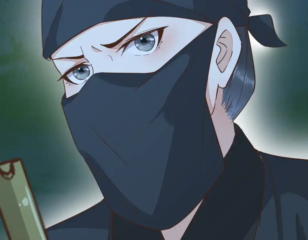 《杀手王妃不好惹》71-遇刺 第88页