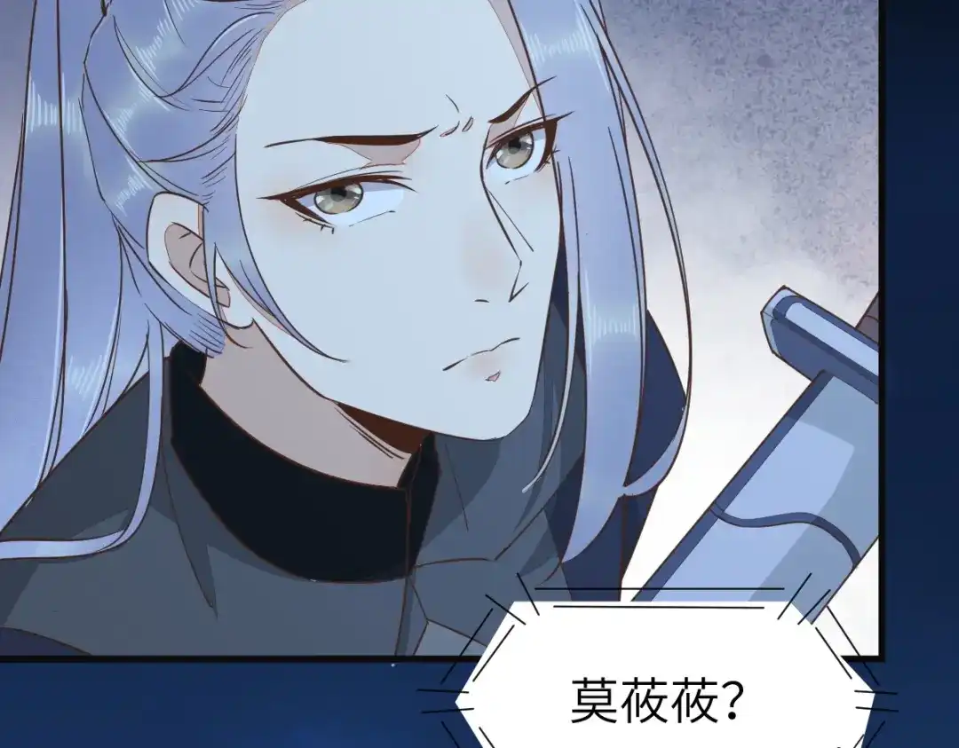 《杀手王妃不好惹》71-遇刺 第82页