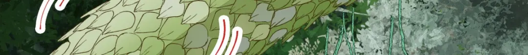 《杀手王妃不好惹》75-草率的武功秘籍 第46页