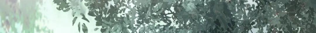 《杀手王妃不好惹》75-草率的武功秘籍 第52页