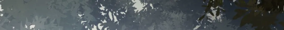 《杀手王妃不好惹》75-草率的武功秘籍 第38页