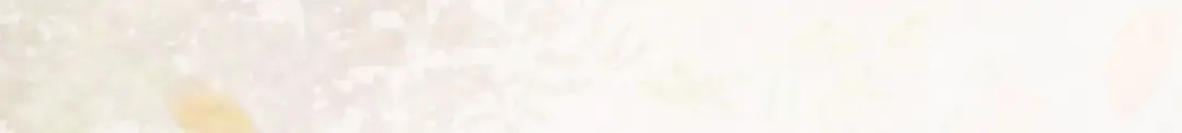 《杀手王妃不好惹》75-草率的武功秘籍 第64页