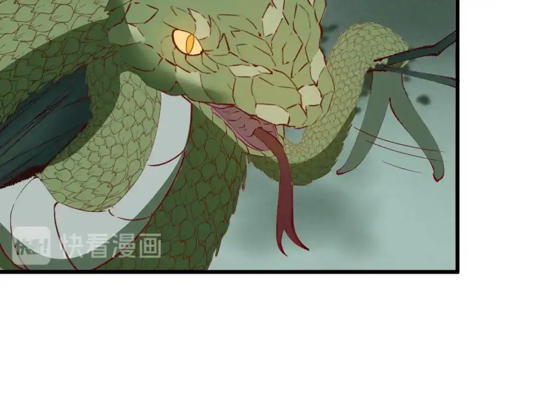 《杀手王妃不好惹》78-打怪升级不断 第41页