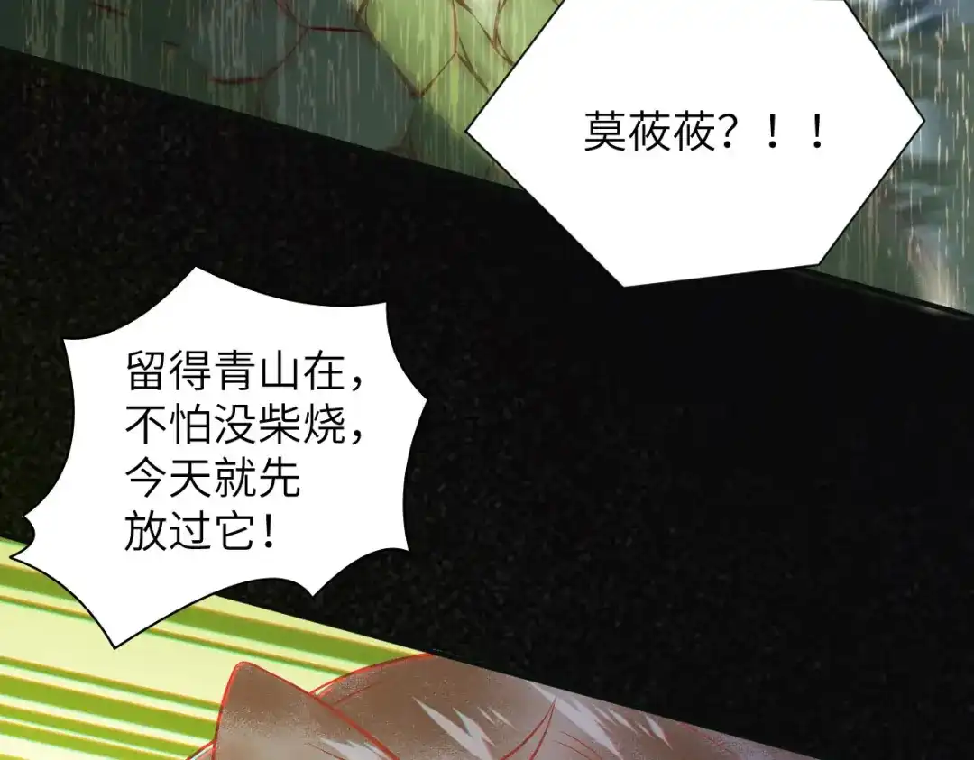 《杀手王妃不好惹》79-带着蛇老弟跑路 第42页