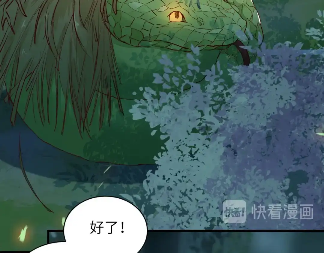 《杀手王妃不好惹》79-带着蛇老弟跑路 第62页