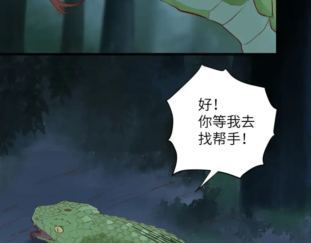 《杀手王妃不好惹》80-破体升级 第46页