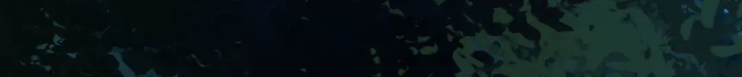 《杀手王妃不好惹》81-遇见向少俞 第47页