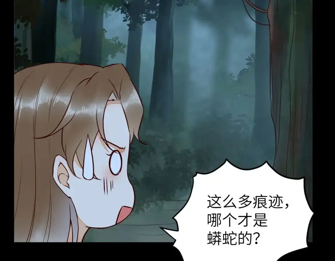 《杀手王妃不好惹》81-遇见向少俞 第13页
