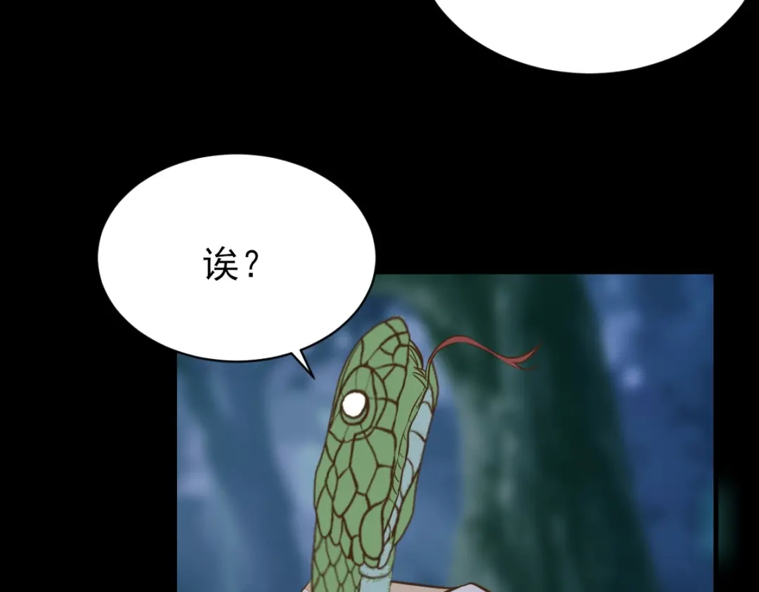 《杀手王妃不好惹》82-怕是要给你陪葬 第49页