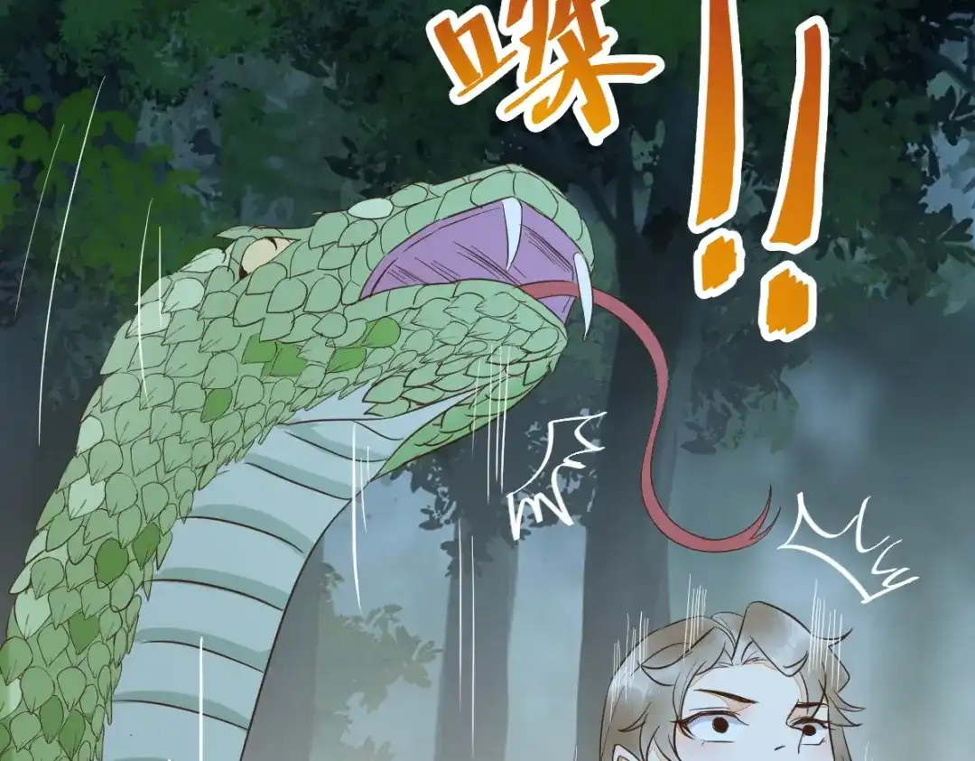 《杀手王妃不好惹》82-怕是要给你陪葬 第78页
