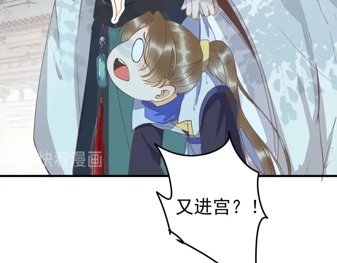 《杀手王妃不好惹》87-再次入宫身份被疑 第42页