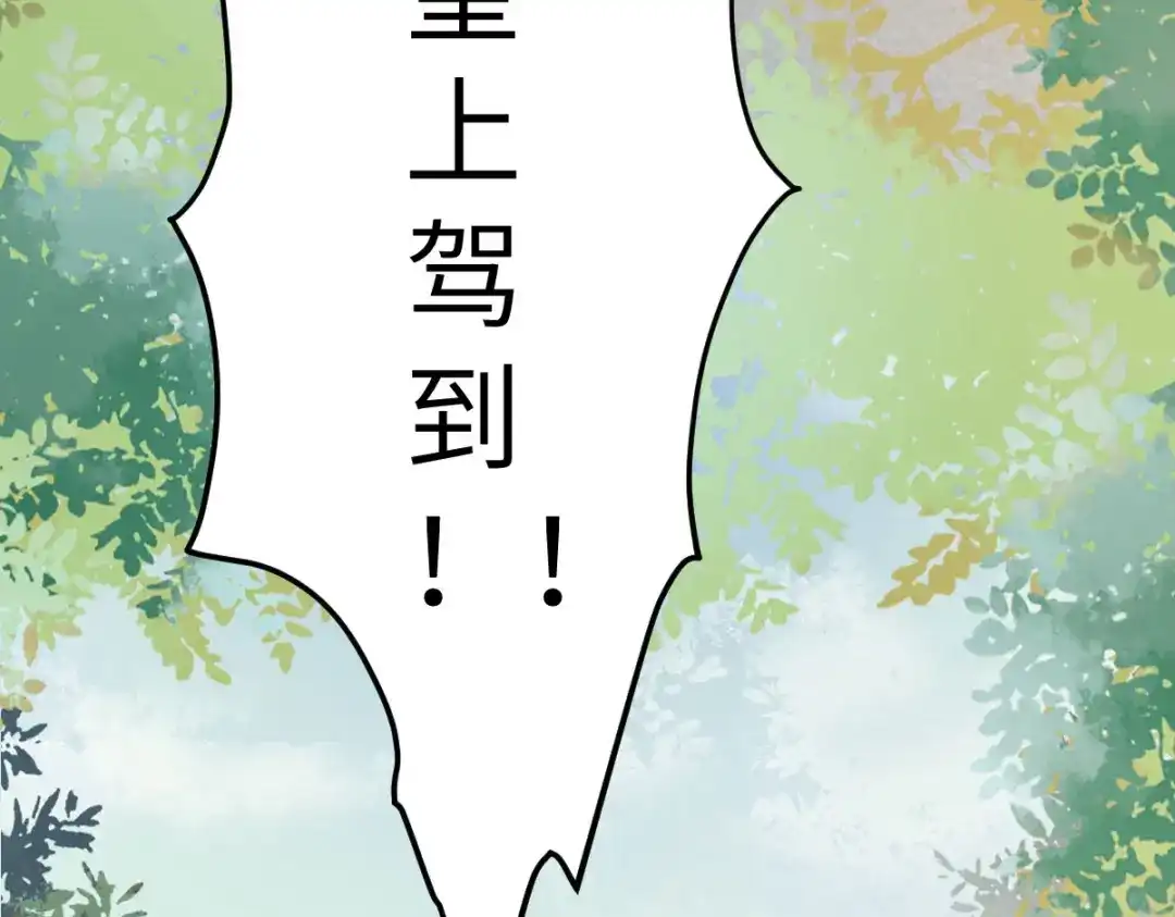 《杀手王妃不好惹》92-上 救星来了！ 第31页