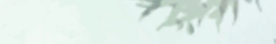 《杀手王妃不好惹》92-下 刀下留人 第78页