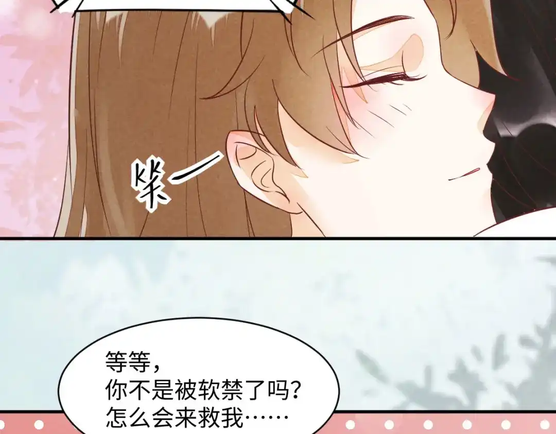 《杀手王妃不好惹》92-下 刀下留人 第76页