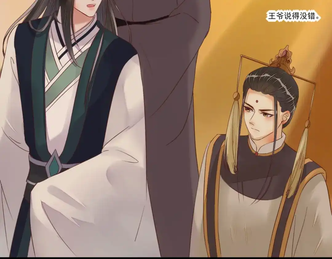《杀手王妃不好惹》96-山人妙计 第52页