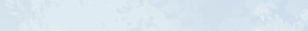 《杀手王妃不好惹》97-又生一计 第11页
